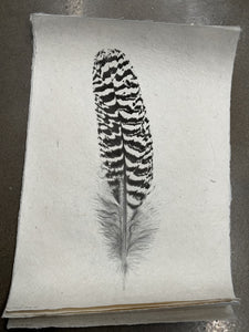 Handmade paper feather art with magnetic frame
