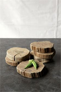 6-1/2" Round x 1/2"H Natural Wood Slab (Each One Will Vary)