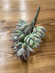 5 cluster succulent pick