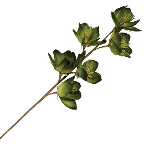Green flower stem