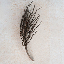 Load image into Gallery viewer, Dried Natural Coconut Palm Branch (Each One Will Vary)