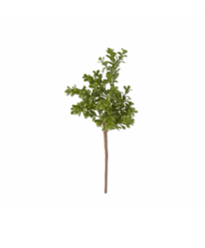 18 Inch Real Touch Boxwood Pick