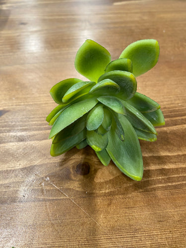 Mini succulent pick