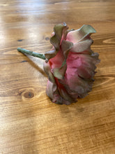 Load image into Gallery viewer, Curly echeveria pick gr/mv